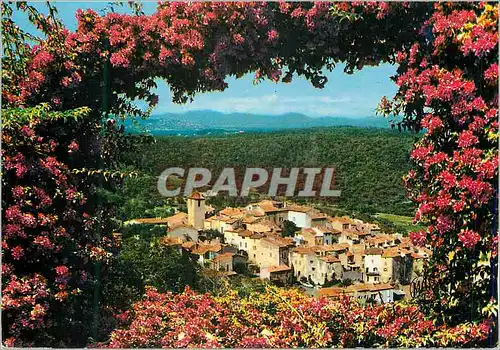 Cartes postales moderne Ramatuelle (Var) La Cote d'Azur Vue Generale