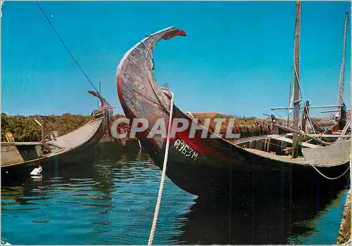 Moderne Karte Portugal Moulins Typiques Bateaux