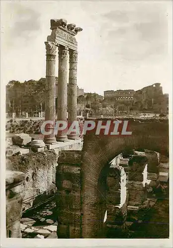 Cartes postales moderne Roma Tempio di Venere Genitrice nel Foro di Cesare