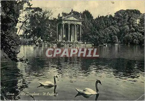 Cartes postales moderne Roma Villa Borghese Il Laghetto Cygnes