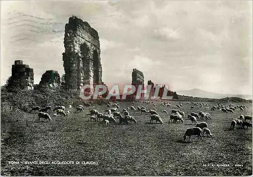 Cartes postales moderne Roma Ayanzi debli Acquedotti di Claudio Moutons