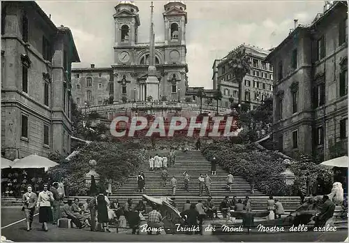 Cartes postales moderne Roma Trinita dei Monti Mostra delle aralee Rome Trinite des Monts Exposition des azalees