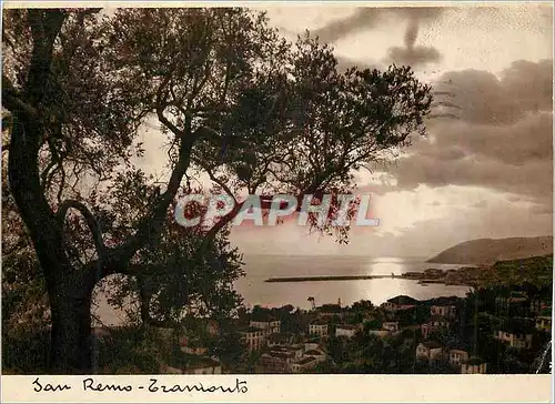 Cartes postales moderne San Remo Tranionts