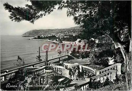 Cartes postales moderne San Remo Riviera dei fiori Giardini