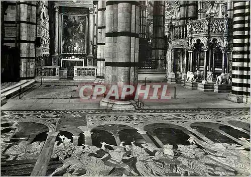 Cartes postales moderne Siena La Cathedrale Interieur Detail du pavement