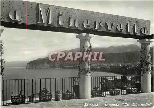 Cartes postales moderne Sorrento Terrazzo La Minervetta Terrasse de la Minervetta