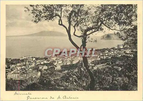 Cartes postales moderne Sorrento Panorama da S Antonio