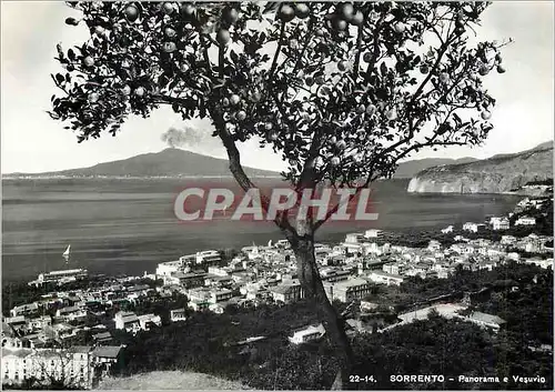 Cartes postales moderne Sorrento Panorama Vesuvio