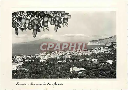 Cartes postales moderne Sorrento Panorama da S Antonio