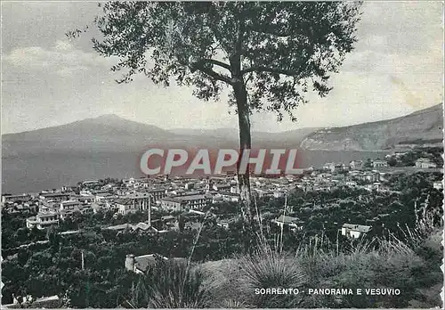 Cartes postales moderne Sorrento Panorama E Vesuvio