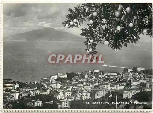 Cartes postales moderne Sorrento Panorama e Vesuvio