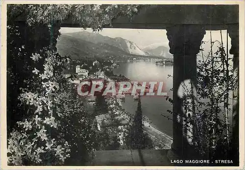 Cartes postales moderne Lago Maggiore Stresa