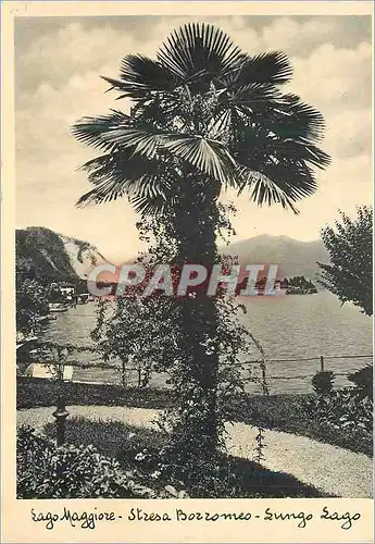 Cartes postales moderne Lago Maggiore Stresa Borromeo Sungo Lago