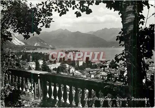 Cartes postales moderne Lago Maggiore Stresa Panorama