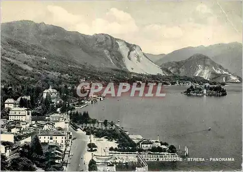 Cartes postales moderne Lago Maggiore Stresa Panorama