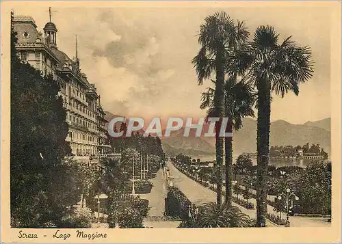 Cartes postales moderne Lago Maggiore Stresa