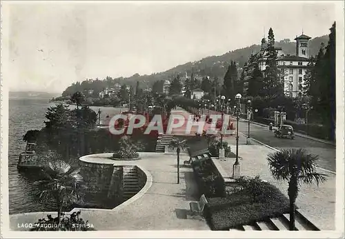 Cartes postales moderne Lago Maggiore Stresa