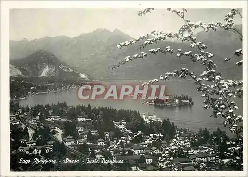 Cartes postales moderne Lago Maggiore Stresa Isole Borromeo