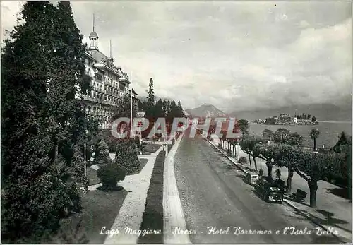 Cartes postales moderne Lago Maggiore Stresa Hotel Borromeo et l'Isola Bella