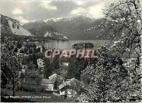Cartes postales moderne Lago Maggiore Stresa e Isola Bella