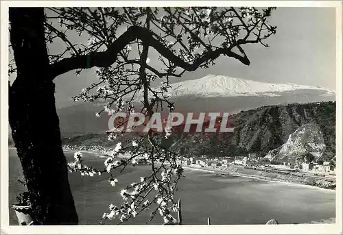 Cartes postales moderne Taormina Panorama Etna