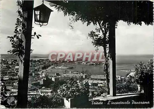 Cartes postales moderne Trieste L'incantevole Panorama