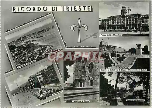 Moderne Karte Trieste Ricordo di Trieste