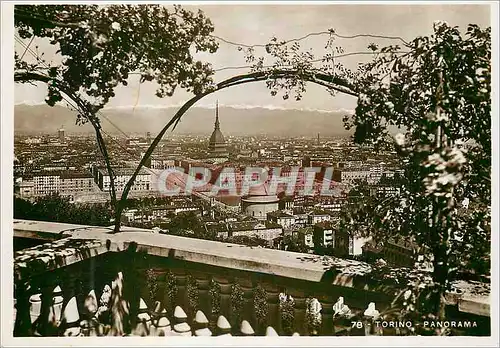 Cartes postales moderne Torino Panorama