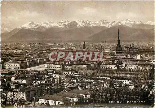 Cartes postales moderne Torino Panorama