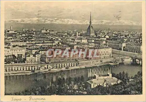 Cartes postales moderne Torino Panorama