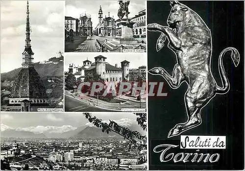 Cartes postales moderne Torino Saluti da Un Salut de Turin Taureau