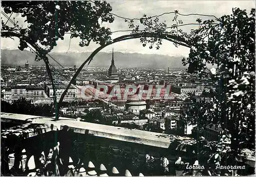 Cartes postales moderne Torino Panorama
