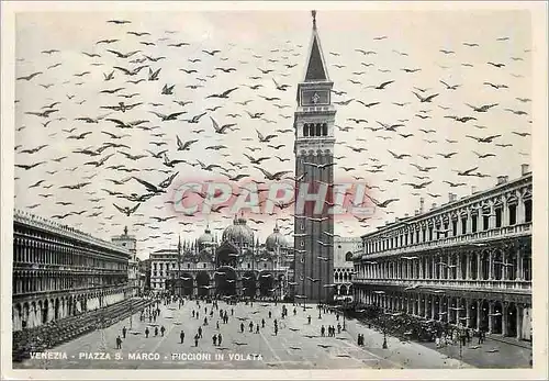 Cartes postales moderne Venezia Piazza S Marco Piccioni in Volata