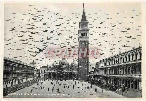 Moderne Karte Venezia Piazza S Marco Piccioni in Volata