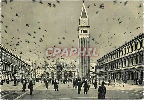 Cartes postales moderne Venezia Place S Marc Les Pigeons