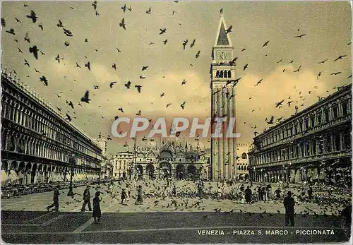 Cartes postales moderne Venezia Piazza S Marco Piccionata Place St Marc et une volee de piegeons