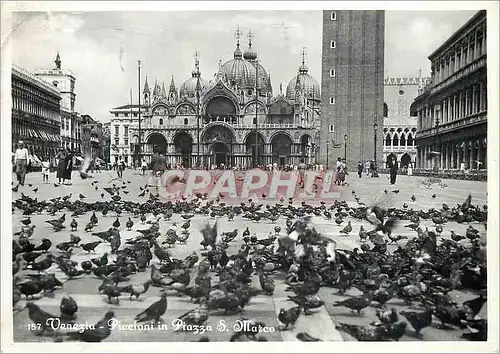 Cartes postales moderne Venezia Piccioni in Piazza S Marco
