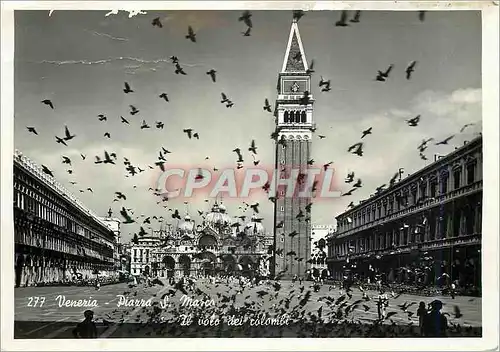 Cartes postales moderne Venezia Piazza S Marco Il volo dei colombe