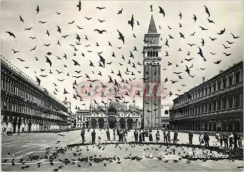 Cartes postales moderne Venezia Vol de pigeons en place de St Marc
