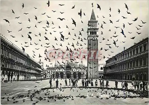 Moderne Karte Venezia Vol de pigeons en place de St Marc