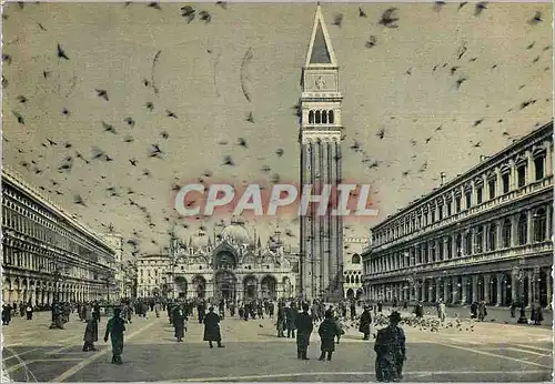 Cartes postales moderne Venezia Place St Marco Les rigeons