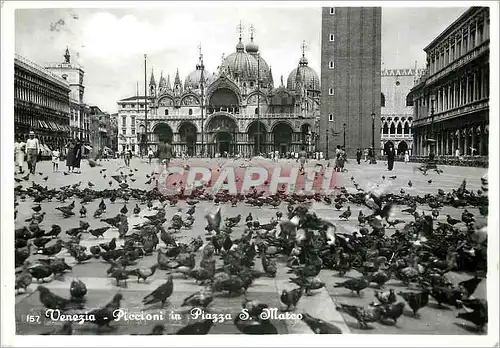 Cartes postales moderne Venezia Piccioni in Piazza S Marco Place St Marco