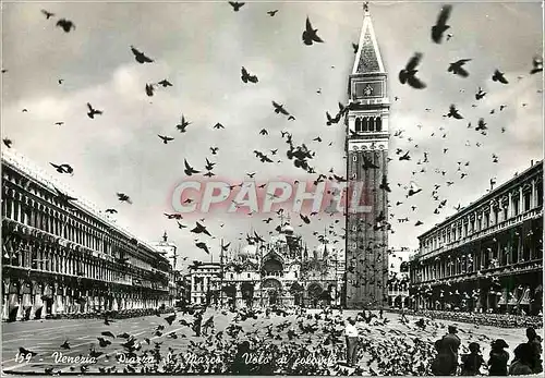 Cartes postales moderne Venezia P�azza S Marco Pigeons