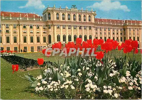 Cartes postales moderne Vienne Chateau de Schoenbrunn