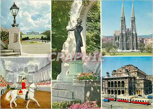 Cartes postales moderne Vienne Souvenir Chevaux Johann Strauss