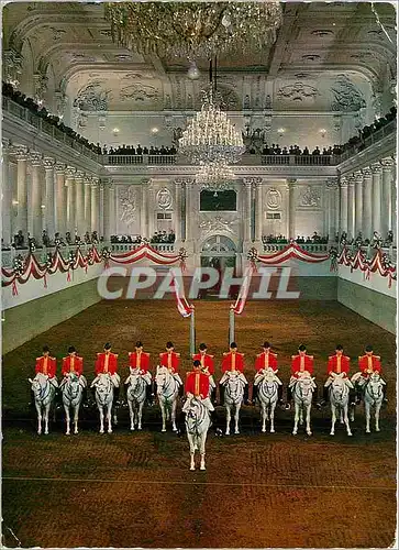 Cartes postales moderne Vienne Ecole d'equitation Espagnole Militaria Chevaux