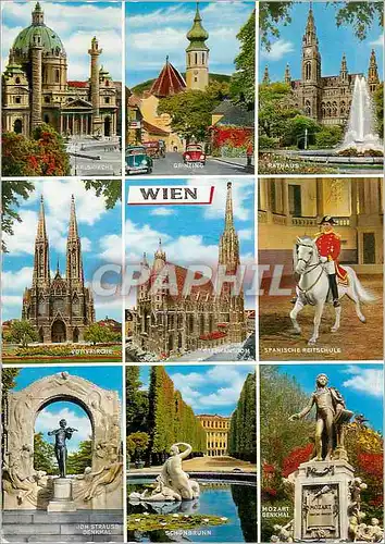 Cartes postales moderne Vienne Cheval Militaria