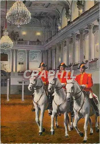 Cartes postales moderne Vienne Haute d'Equitation Espagnole Pas de Trois Militaria Chevaux