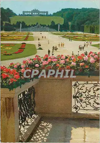 Moderne Karte Vienne Schonbrunn Le parterre de fleurs Fontaine de Neptune et la Gloriette