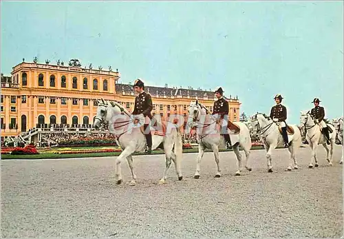 Cartes postales moderne Vienne 400 ieme Anniversaire de l'Ecole d'equitation espagnole Presentation dans le parc du chat